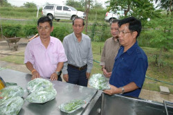 Image Image